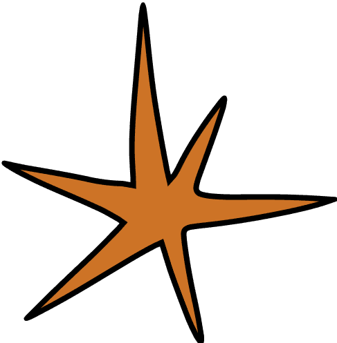 Orange star shape